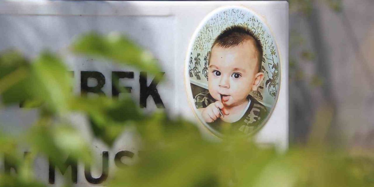 Şehit Bebek Bedirhan Ve Annesi Mezarı Başında Anıldı