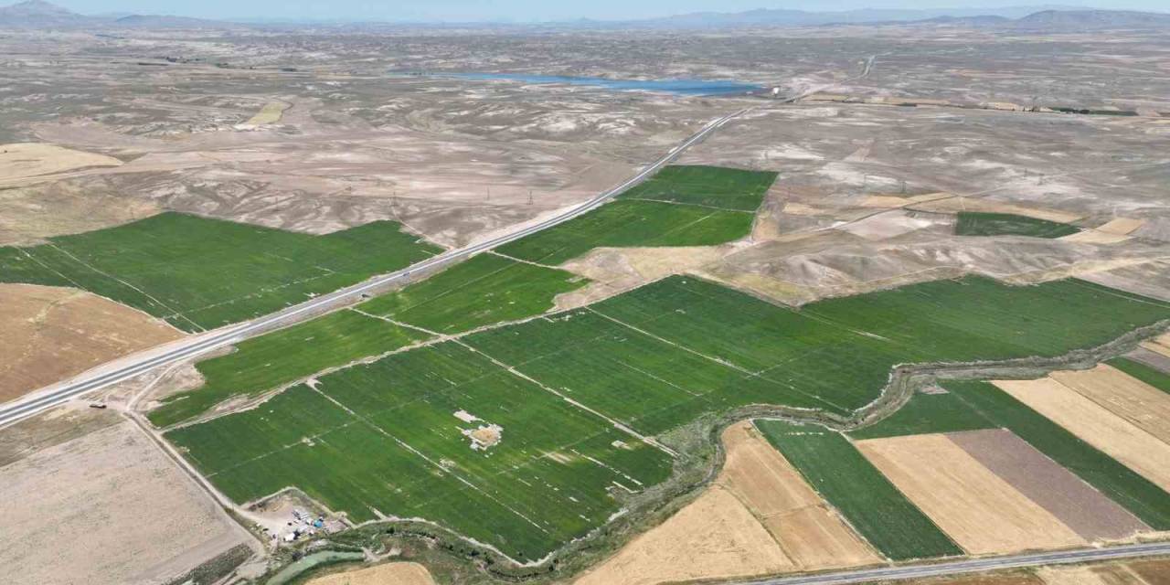 Patateste Rekor Rekolte Bekleniyor