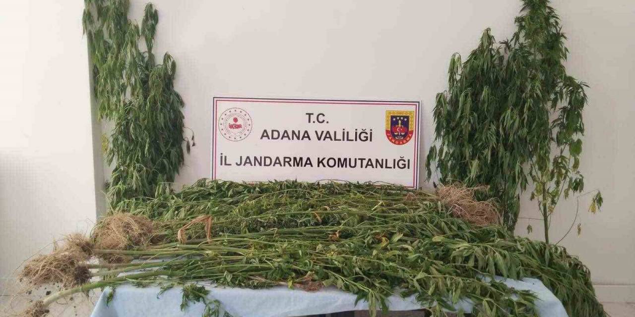 Adana’da Uyuşturucu İle Mücadele 14 Şahıs Yakalandı