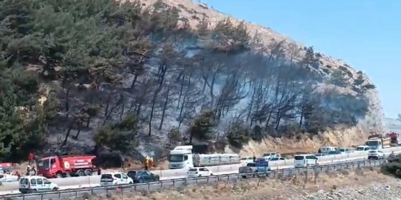 Hatay’da Orman Yangını, Ekiplerin Müdahalesi İle Söndürüldü