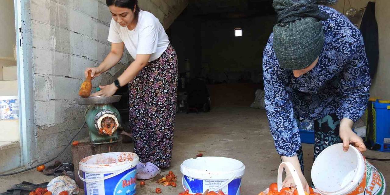 Kilis’te Kavurucu Sıcak Altında Salça Yapımı Başladı