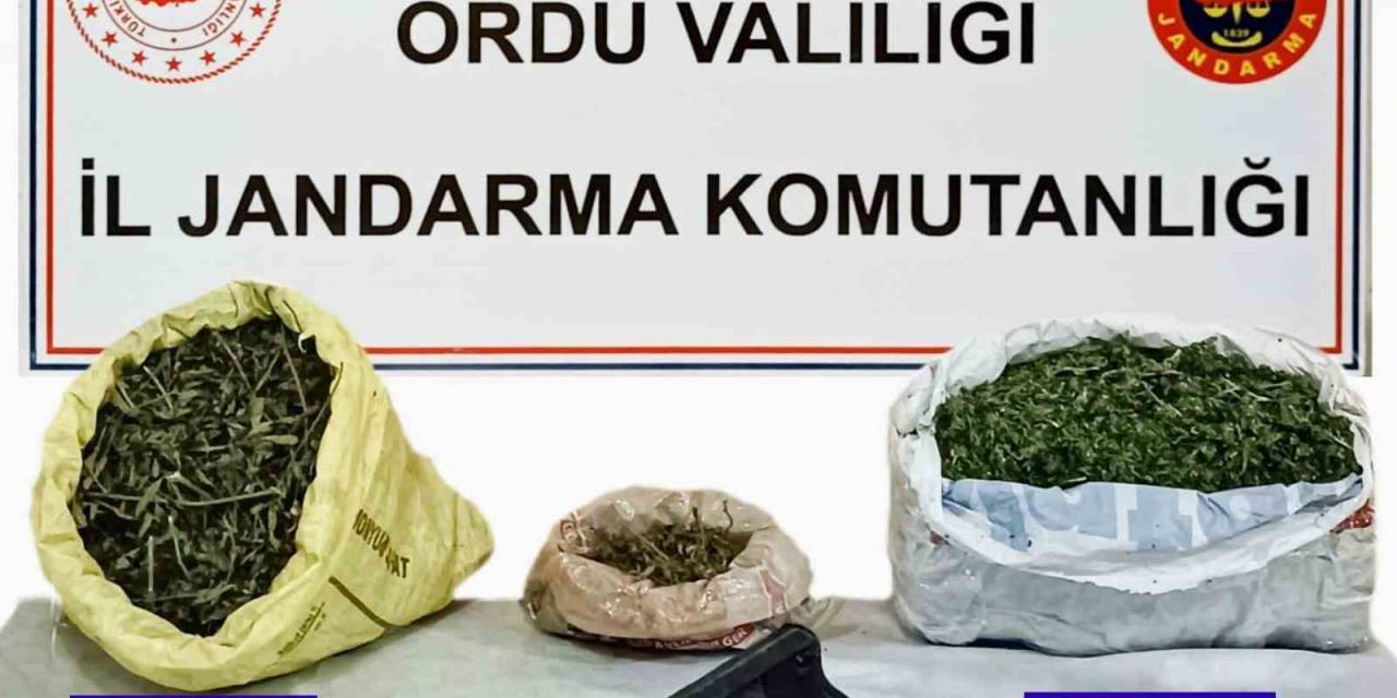 Ordu’da 6 Ayda 157 Düzensiz Göçmen Sınır Dışı Edildi