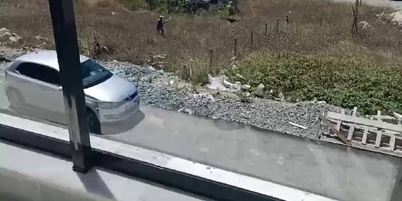 Arnavutköy’de Bir Şahıs Av Tüfeğiyle Sokak Ortasında Köpeklere Ateş Açtı: Dehşete Düşüren O Anlar Kamerada