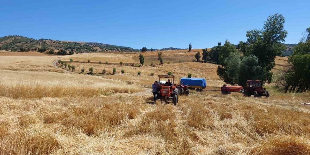 Çorumlu Çiftçiler Patoz Makinelerinden Vazgeçemiyor