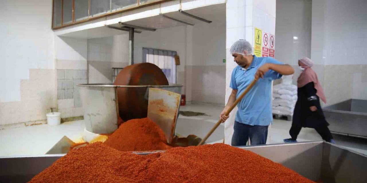 Depremin Yıktığı İslahiye’de Sanayinin Çarkları Tekrar Dönmeye Başladı