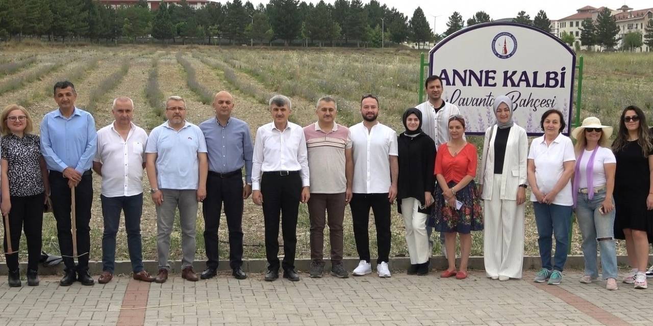 Lavanta Bahçesinin Bakımını Gönüllü Öğretim Görevlileri Yapıyor