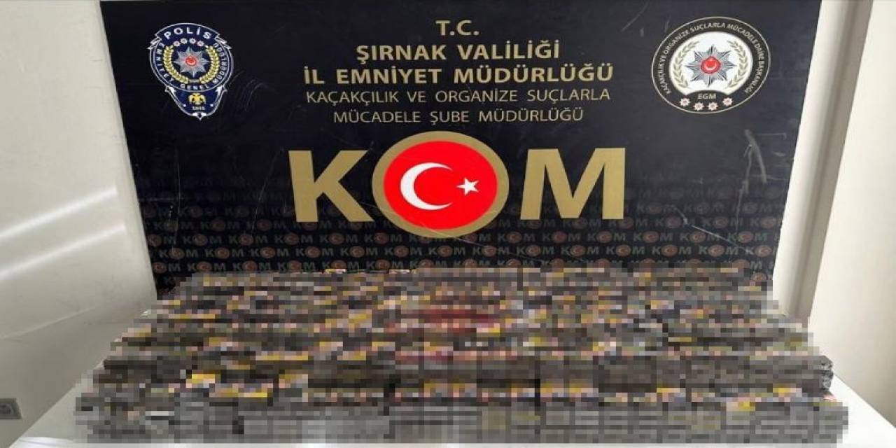 Şırnak’ta Asayiş Ve Kaçakçılık Operasyonu: 38 Gözaltı