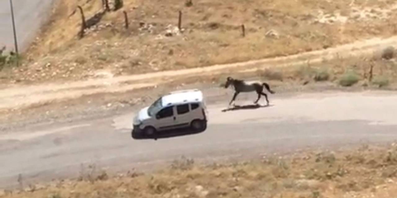 Atı Aracın Arkasına Bağlayıp Koşturdu, Görüntüler Pes Dedirtti