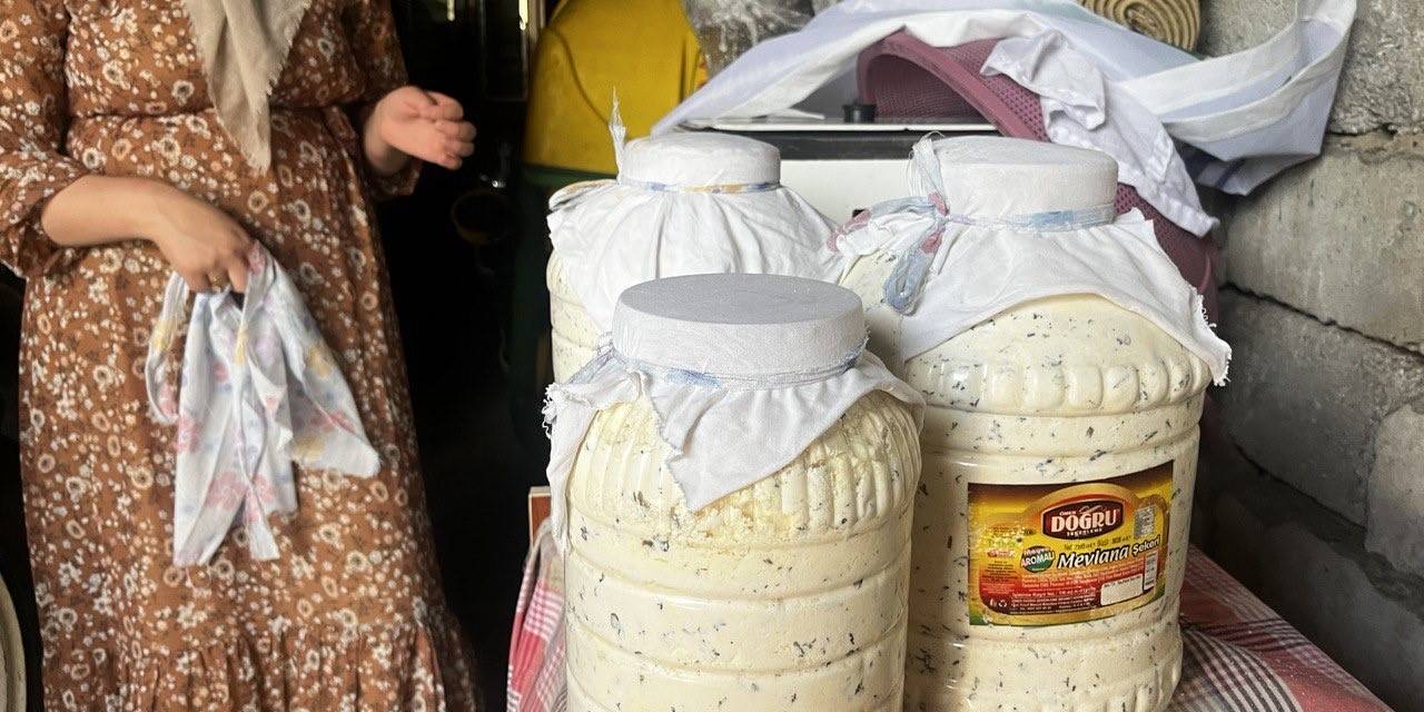 Doğal Yollarla Üretilen Peynirler Kışın Tüketilmek Üzere Toprağa Gömülüyor