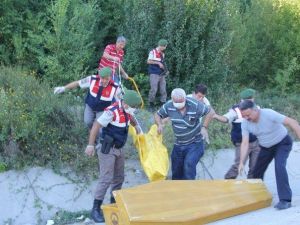 Bartın’da Ormanlık Alanda Erkek Cesedi Bulundu