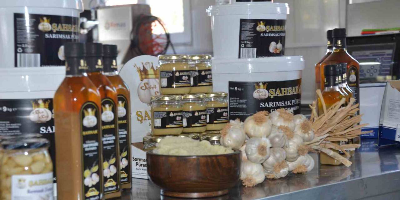 Hobi Olarak Başladılar: Taşköprü Sarımsağından Ürettikleri Yıllanmış Ekstratın Faydaları Saymakla Bitmiyor