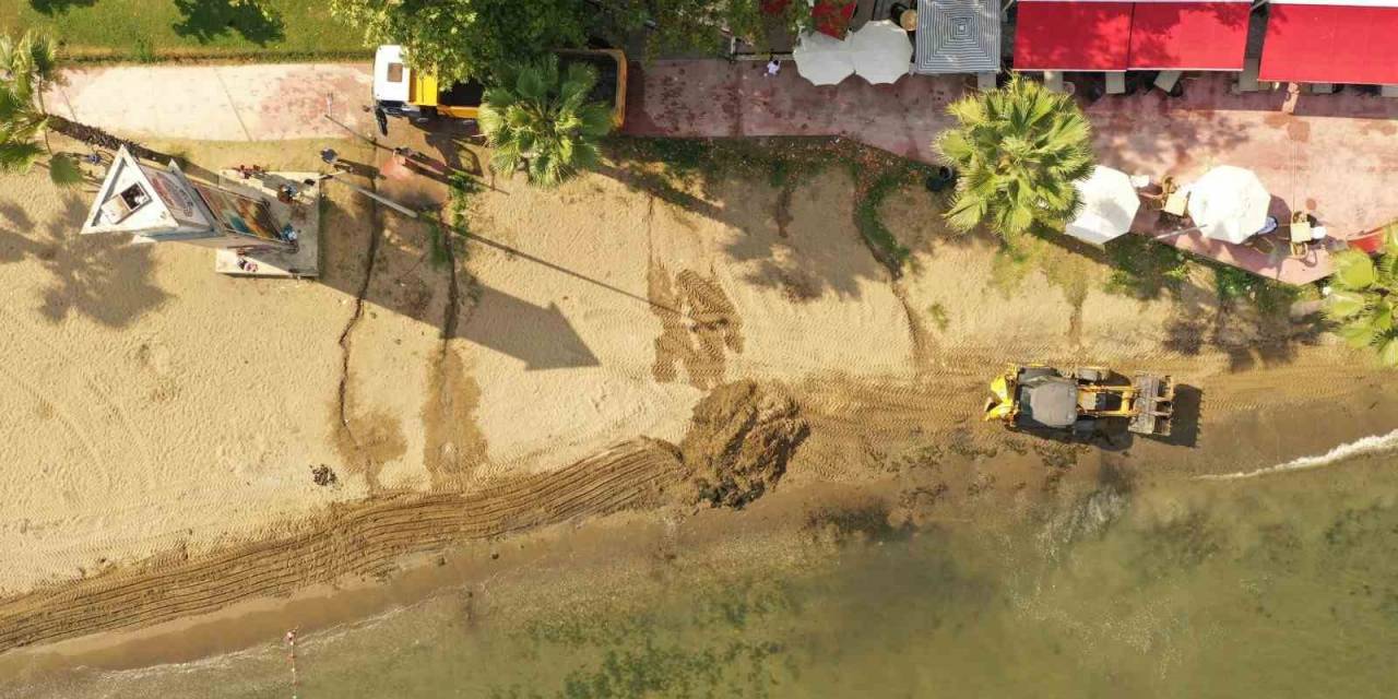 Akasya Plajı’nda Rutin Temizlik