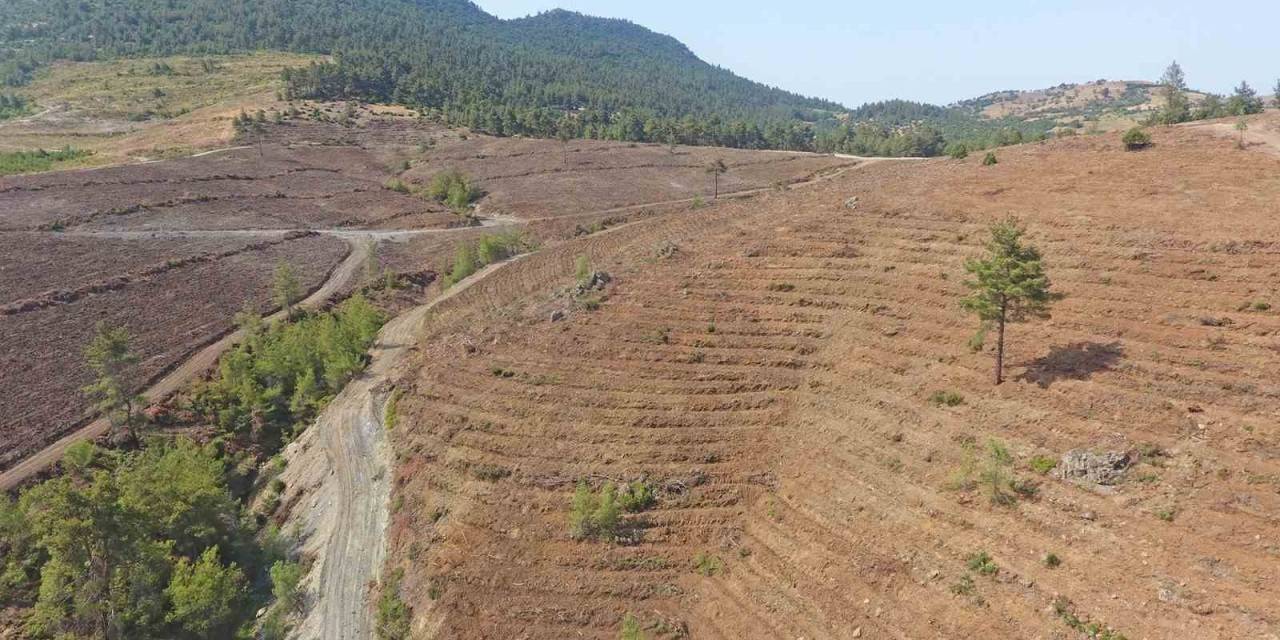 Yeşil Vatan Toprakları Nakış Nakış İşleniyor