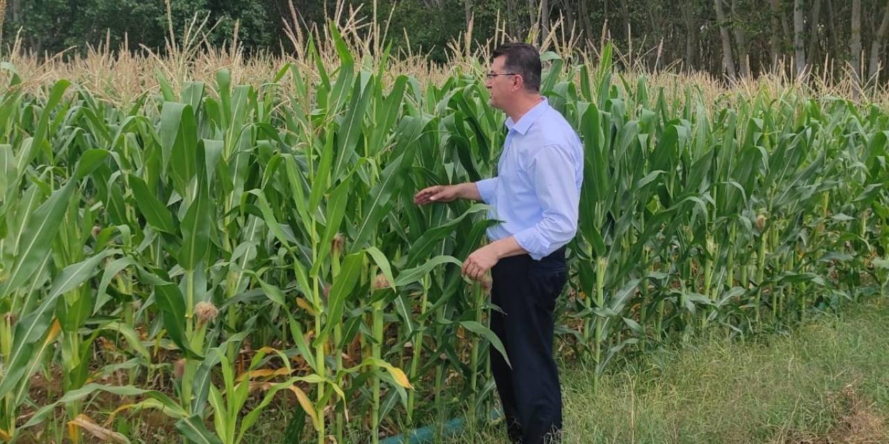 Kırklareli’de ‘batı Mısır Kök Kurdu’na Karşı Mücadele