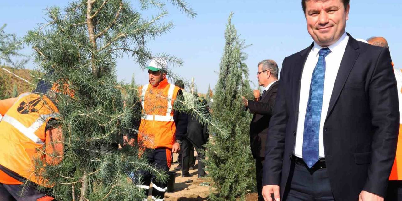 Başkan Dinçer: “aksaray’ımızın Yeşil Alanını Artırmak İçin Çalışıyoruz”