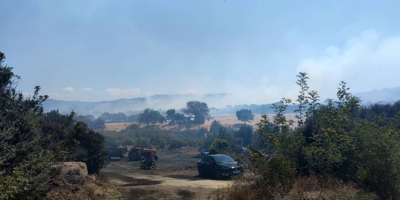 Çanakkale’de Tarım Arazilerinin Bulunduğu Bölgede Yangın