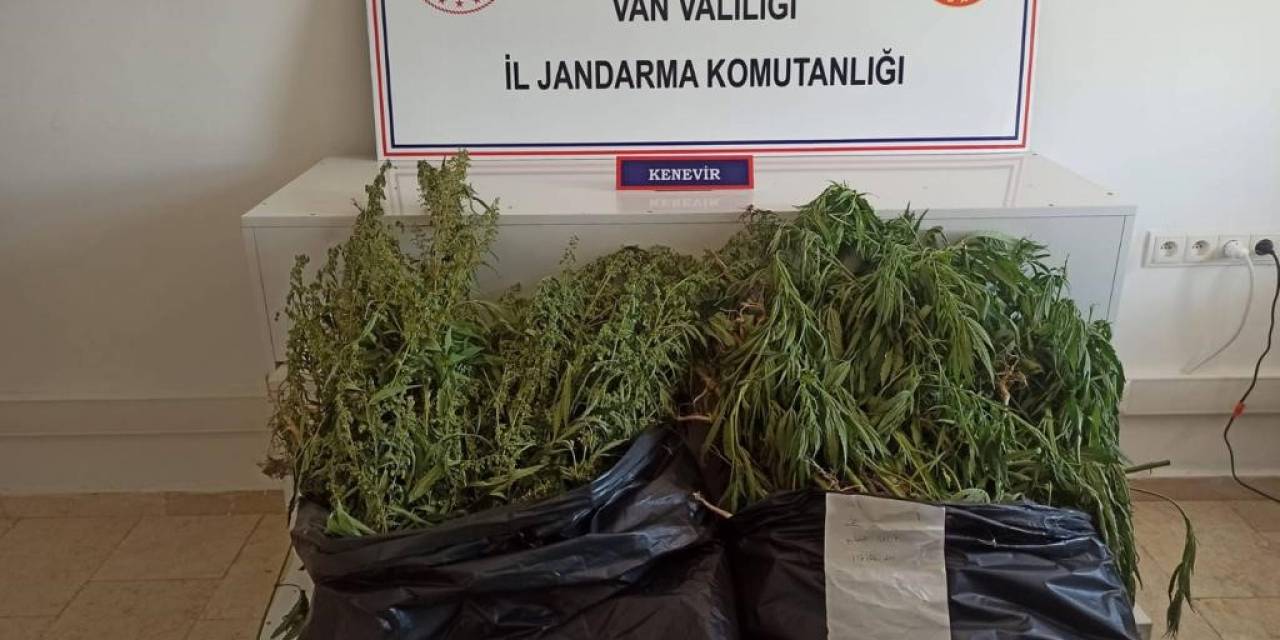 Van’da Hint Keneviri Operasyonu