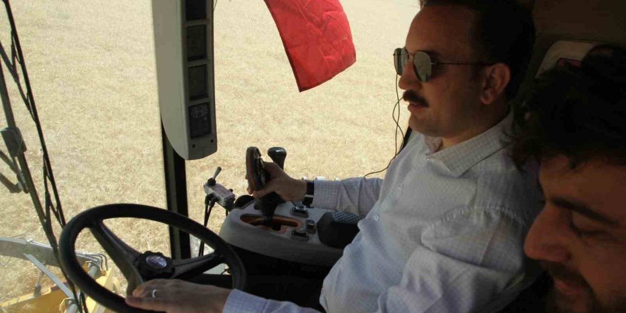 Kaymakam Bayram Biçerdöverle Hasat Yaptı