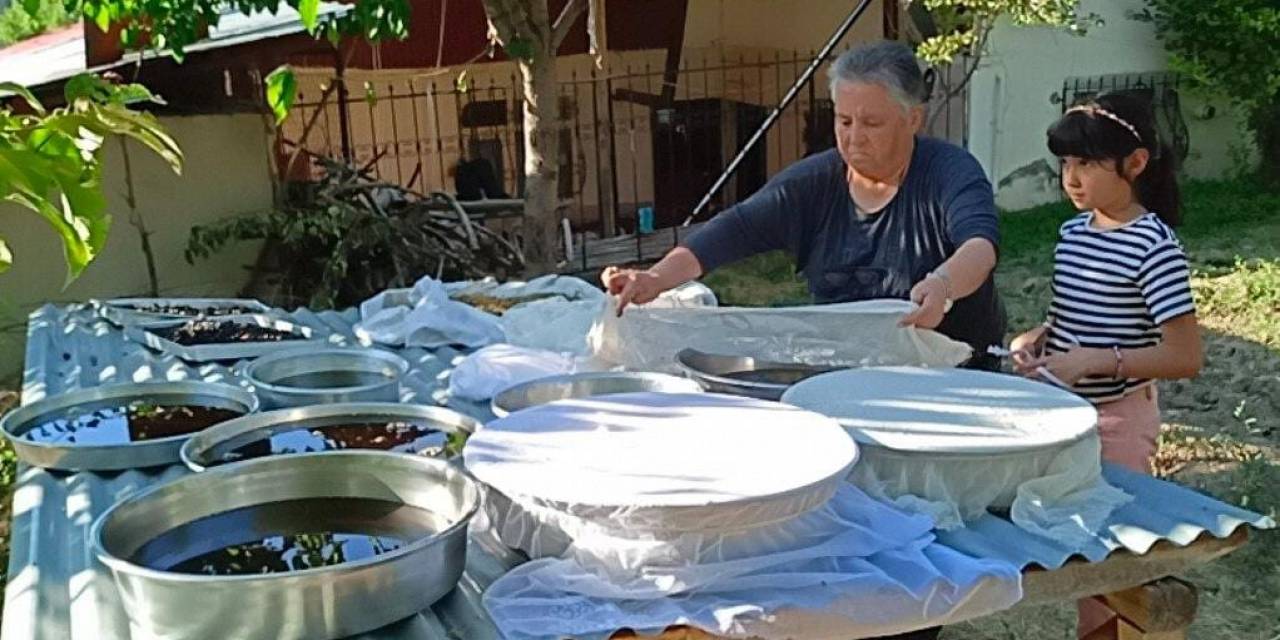 Sakin Şehir Arapgir’de Dut Pekmezi Geleneği Sürdürülüyor