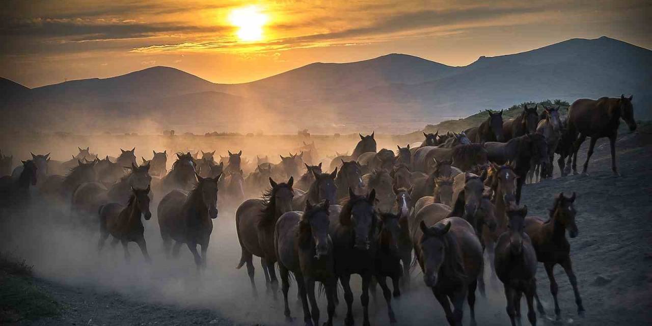 Başkan Büyükkılıç’tan Cumhurbaşkanı Erdoğan’a Teşekkür, Doğa Tutkunlarına Davet
