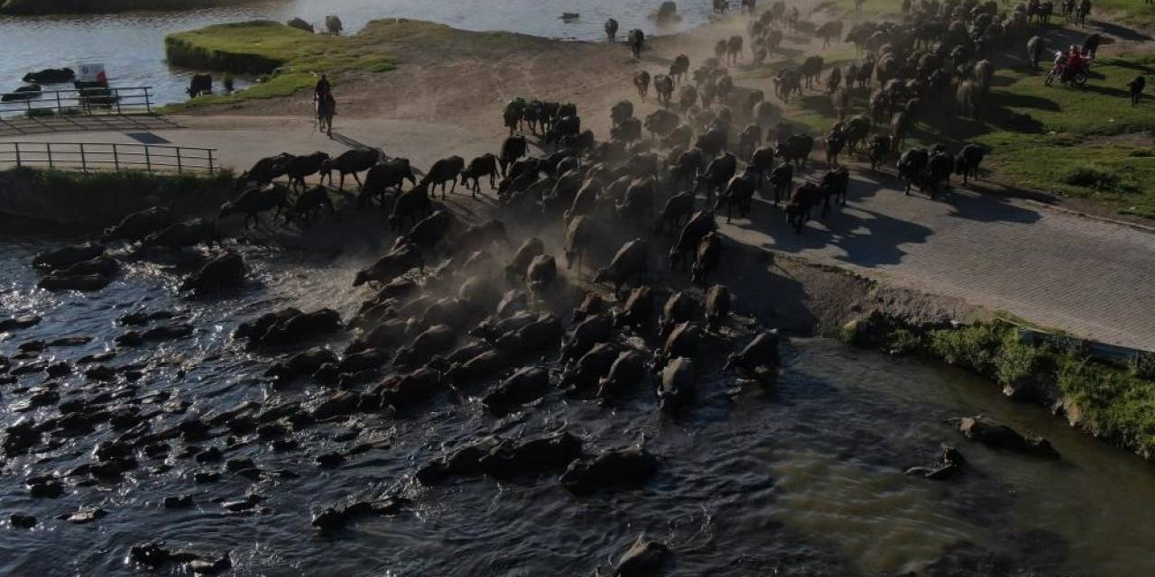 Bu Güzellik ’kesin Korunacak Hassas Alan’ İlan Edildi