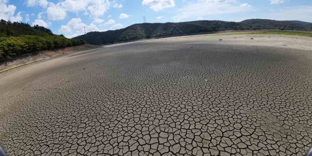 İstanbul’da Kuraklığın Boyutu Havadan Çekilen Görüntülerle Ortaya Çıktı