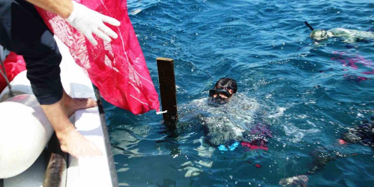 Denizin Dibinden Çıkanlar Şok Etti