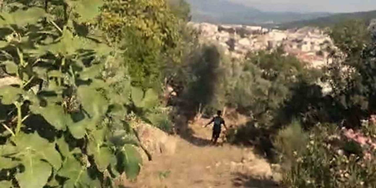 ‘muğla’nın Üstünde Büyü Var’ Diyerek Ormanı Yakmış