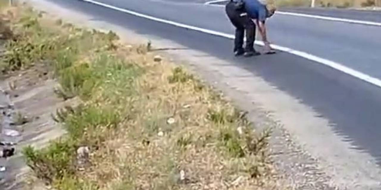 Kaplumbağayı Ezilmekten Kurtaran Polis Takdir Topladı