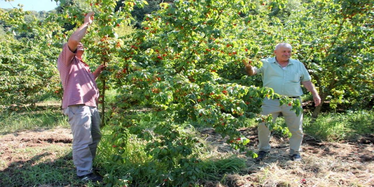 16. Şenköy Kızılcık Şenliği İçin Geri Sayım