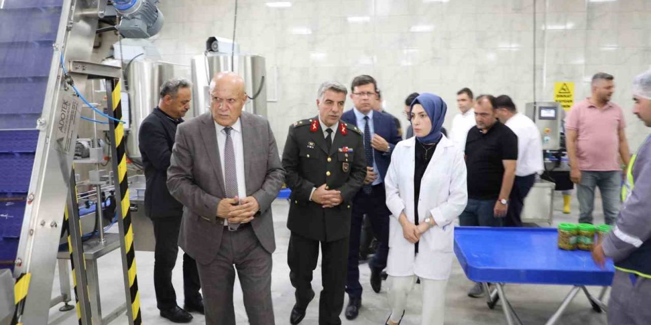 Başkan Pekmezci, Misafirlerine Fabrika Ve Tesisleri Gezdirdi