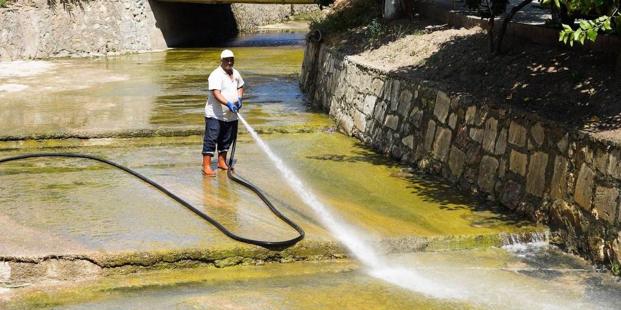 Dere Temizlenince 40 Yıl Önce Görülen Balıklar Yine Görülmeye Başlandı
