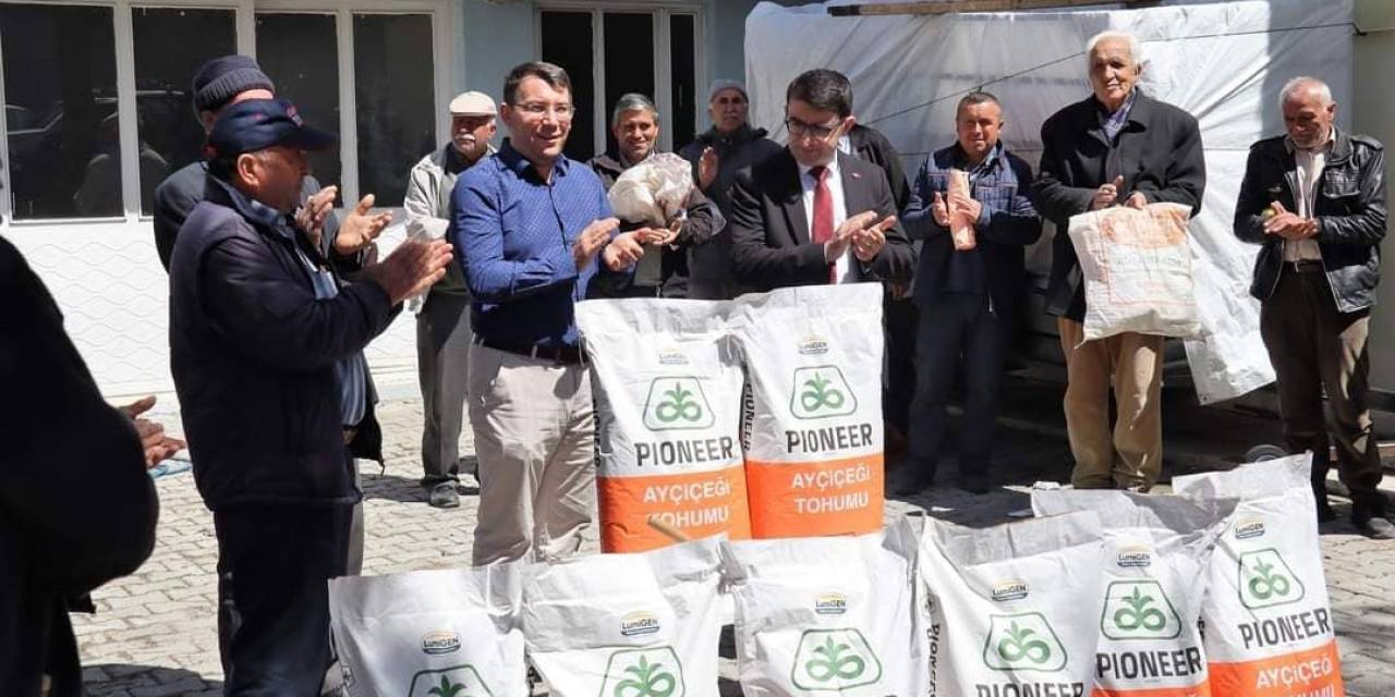 Afyonkarahisar’da Yüzde 75 Hibeli Dağıtılan Ayçiçek Tohumları Çiçek Açtı