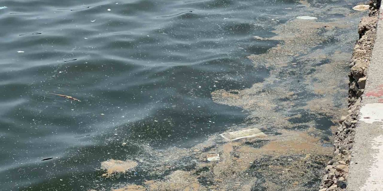 Akdeniz’de Mikroplastik Alarmı: "her 1 Kilometre Karede 8 Milyonun Üzerinde Mikroplastik Tespit Edildi"