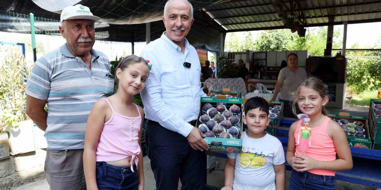 Mersin’de Siyah İncir Hasadı Yapıldı