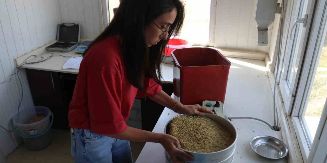 Ofis, Çiftçinin Karagün Dostu Oluyor