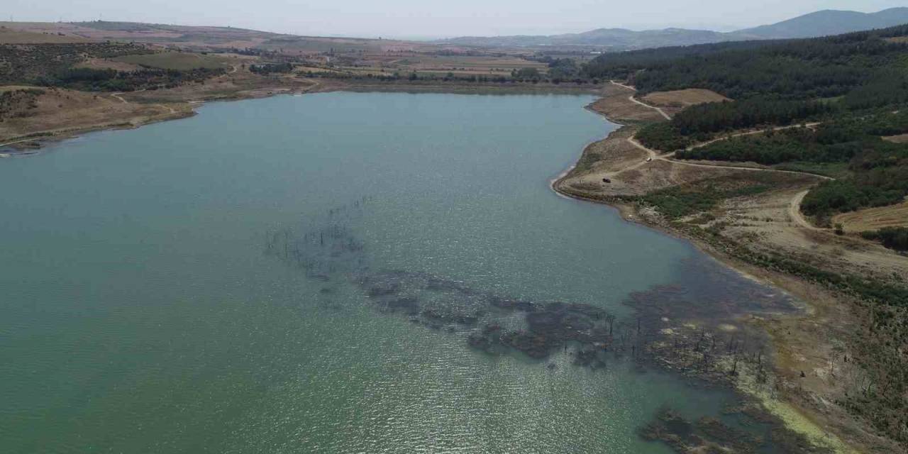 Tekirdağ’da Korkutan Görüntü: Barajdaki Çalı Ve Ağaçlar Ortaya Çıktı
