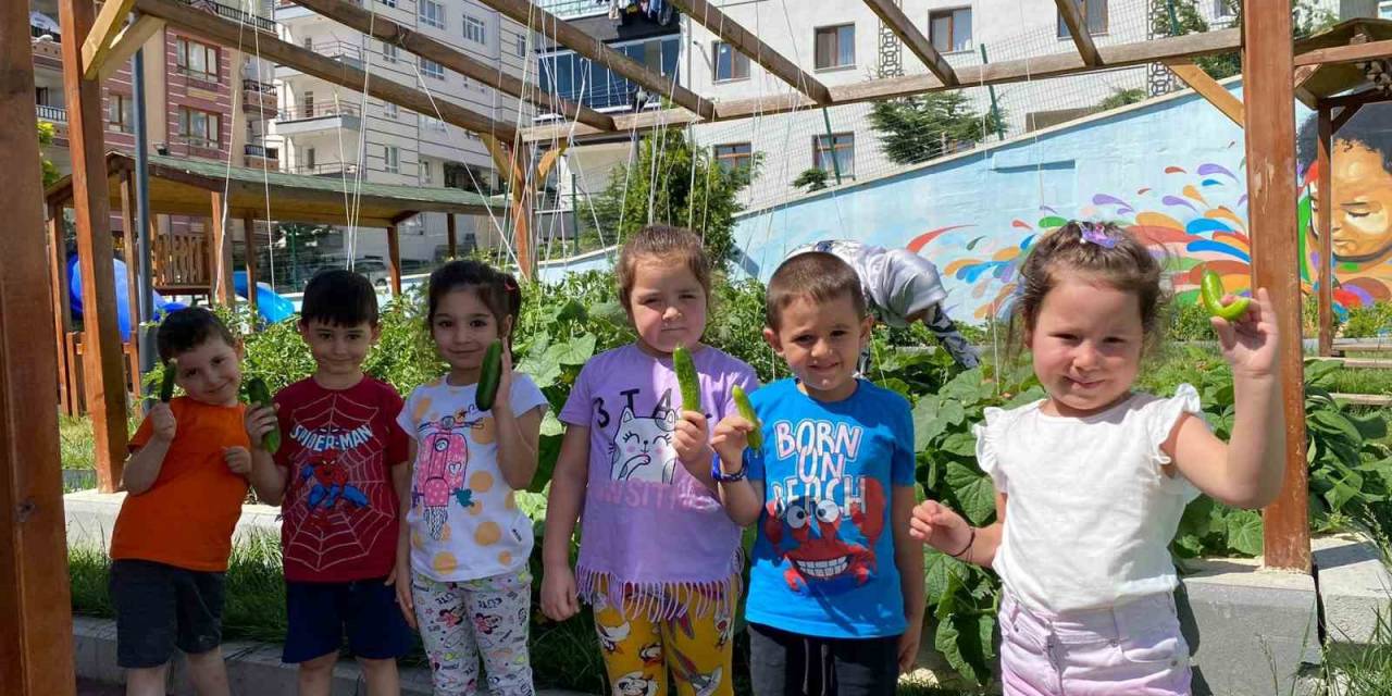 Mamak Belediyesinin Anaokullarında Öğrenciler, Sebze Yetiştirip Hayvan Besliyor