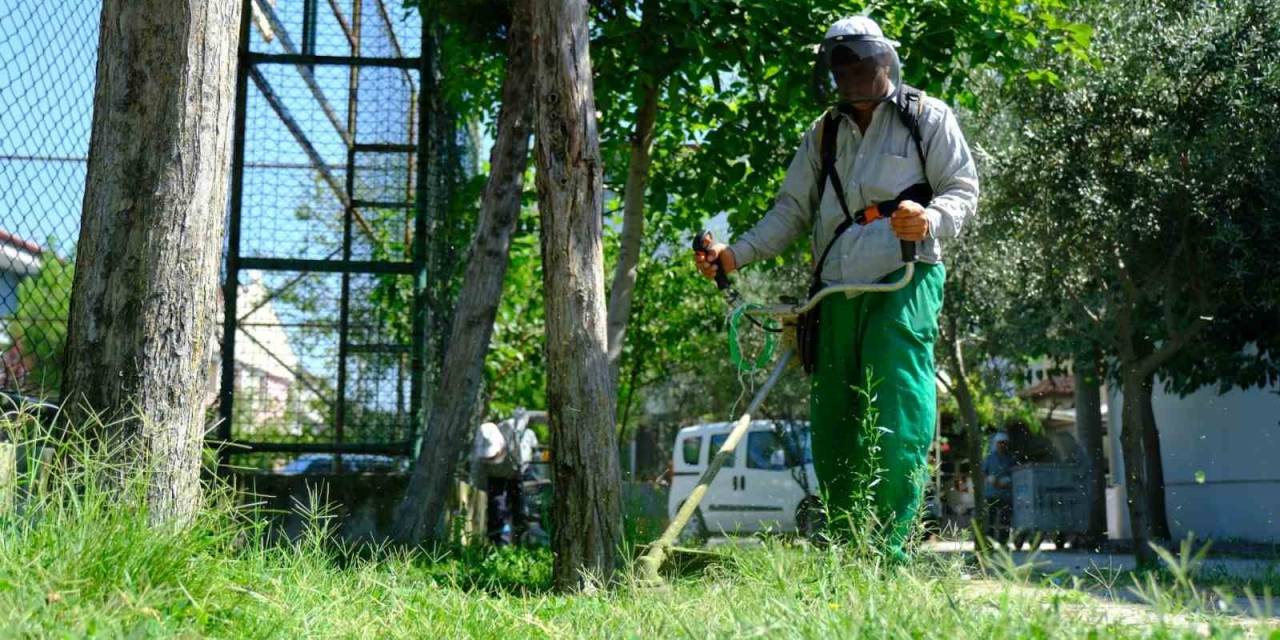 Başkan Avcı: “daha Yeşil Bir Altıeylül İçin Çalışıyoruz”
