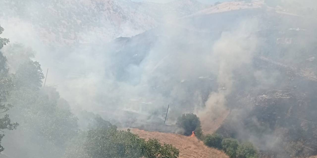 Malatya’da Orman Yangını