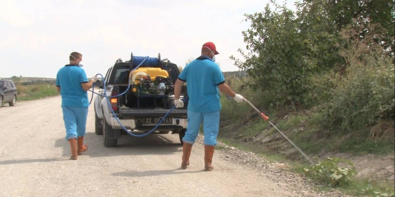 Edirne’de Sivrisinek İlaçlaması İçin 4 Milyon 200 Bin Liralık Bütçe