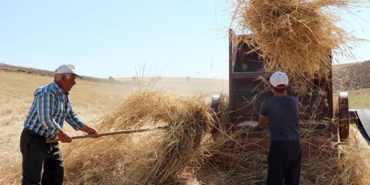 36 Derecede Kışlık Yem Mücadelesi