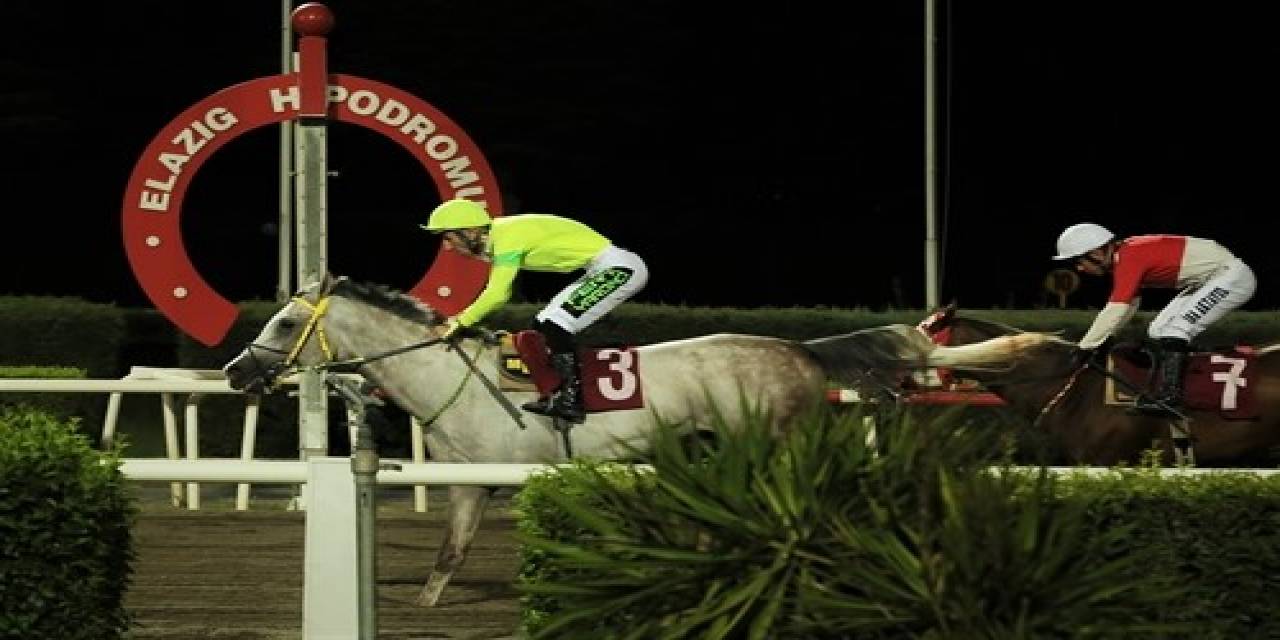 Elazığ İl Tarım Müdürlüğü Koşusu’nu ’dörtnalbeyi’ Kazandı