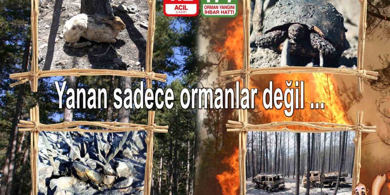 Orman Yangınlarına Karşı Vatandaşlar Uyarıldı