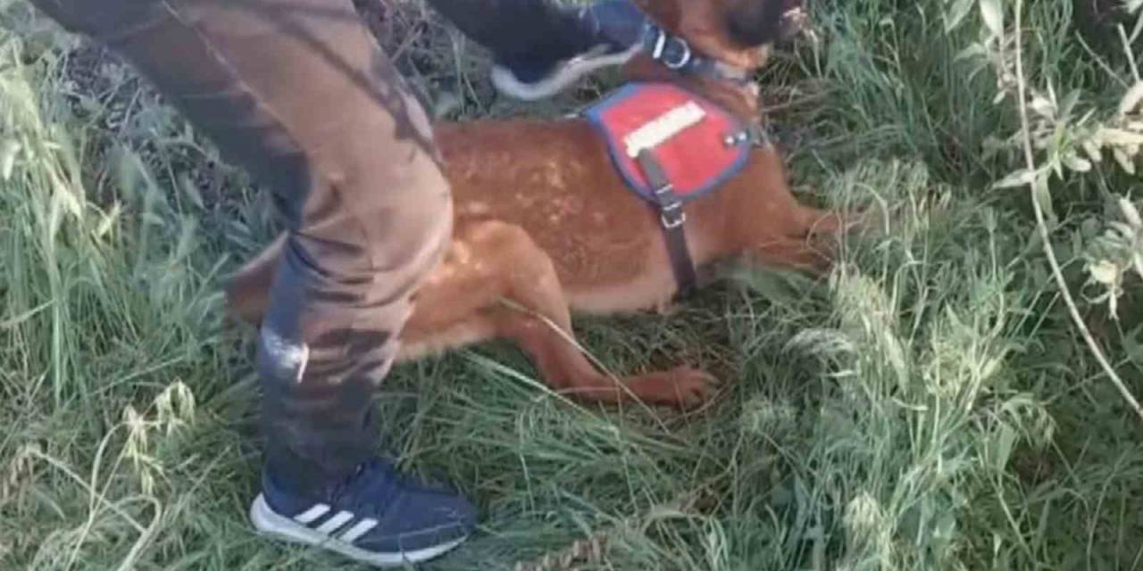 Aksaray’da Uyuşturucu Operasyonu