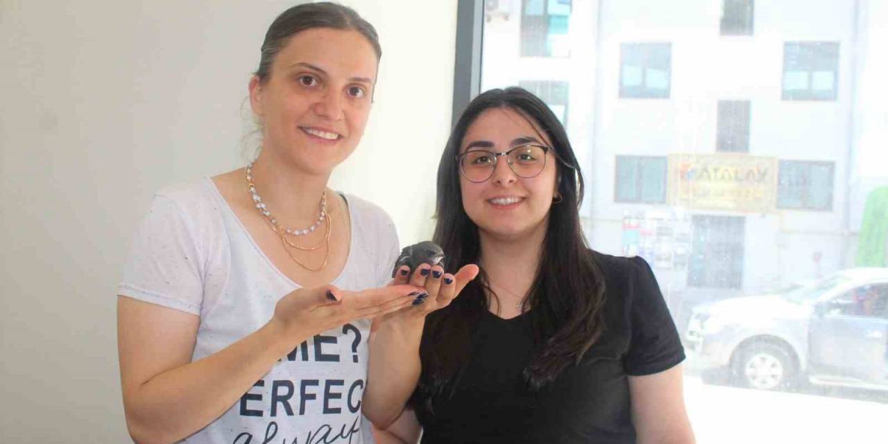 Gazetecilerden Ebabil Kuşuna Şefkat Eli