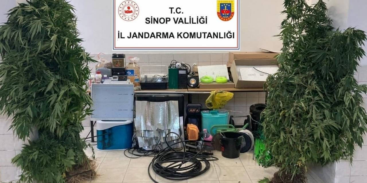 Sinop’ta Uyuşturucu Tacirlerine Operasyon