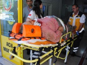 Amasya’da Tarım İşçilerini Taşıyan Minibüs Kaza Yaptı: 9 Yaralı