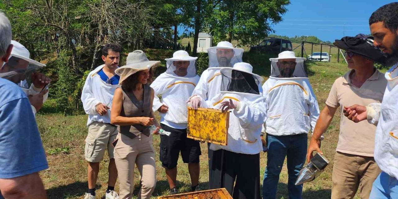 Apiturizm Faaliyetleri Dagem İle Dünyaya Tanıtılıyor