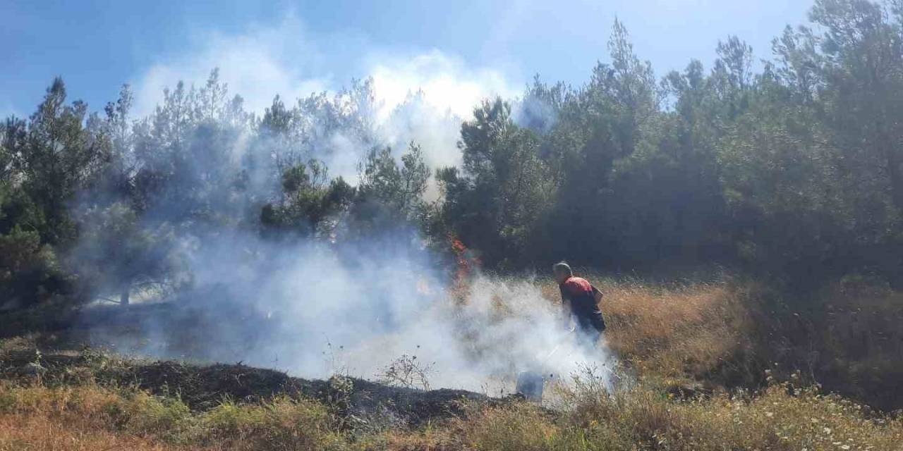 Amasya’da Çıkan Yangın Ormanlık Alana Sıçradı